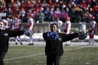 _MG_0495