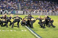 _MG_2655.jpg