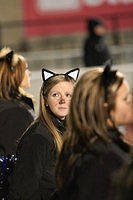 _MG_9033.jpg