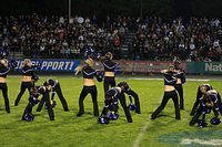 _MG_5937.jpg