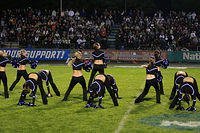 _MG_5938.jpg