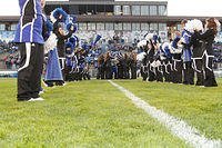 _MG_5096.jpg